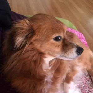 Meet your Posher, Lori